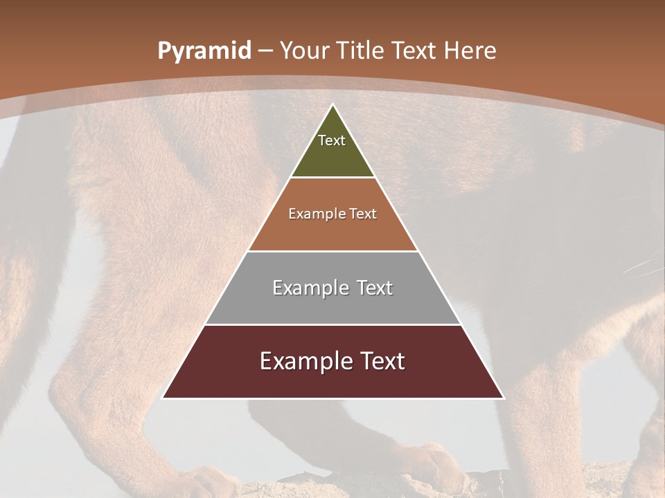 A Mountain Lion Walking Across A Desert Landscape PowerPoint Template
