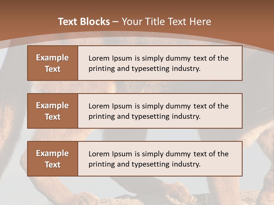 A Mountain Lion Walking Across A Desert Landscape PowerPoint Template