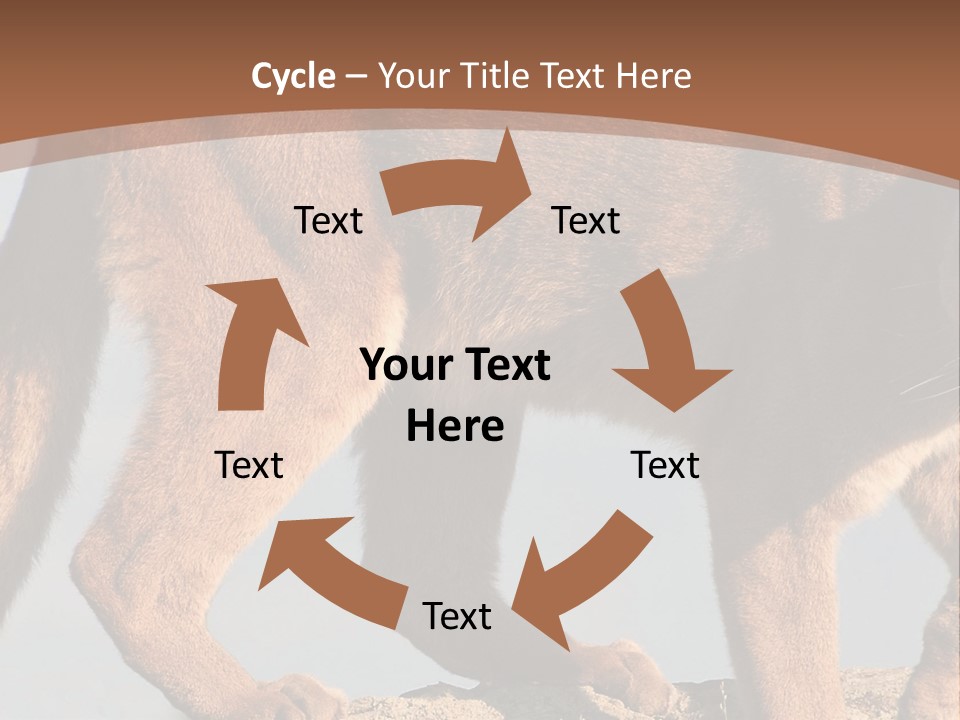 A Mountain Lion Walking Across A Desert Landscape PowerPoint Template