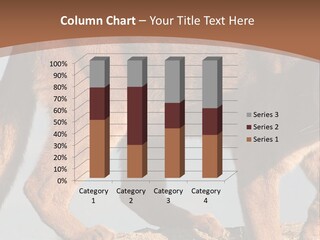 A Mountain Lion Walking Across A Desert Landscape PowerPoint Template