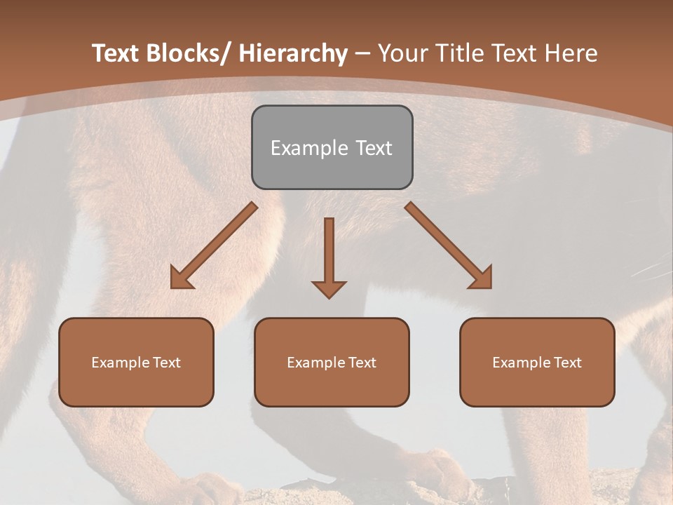A Mountain Lion Walking Across A Desert Landscape PowerPoint Template