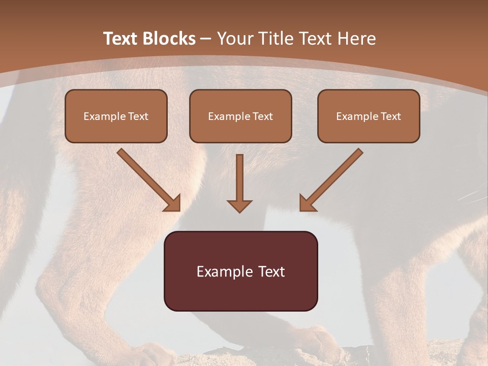 A Mountain Lion Walking Across A Desert Landscape PowerPoint Template