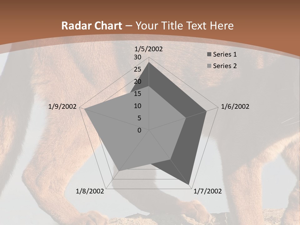 A Mountain Lion Walking Across A Desert Landscape PowerPoint Template