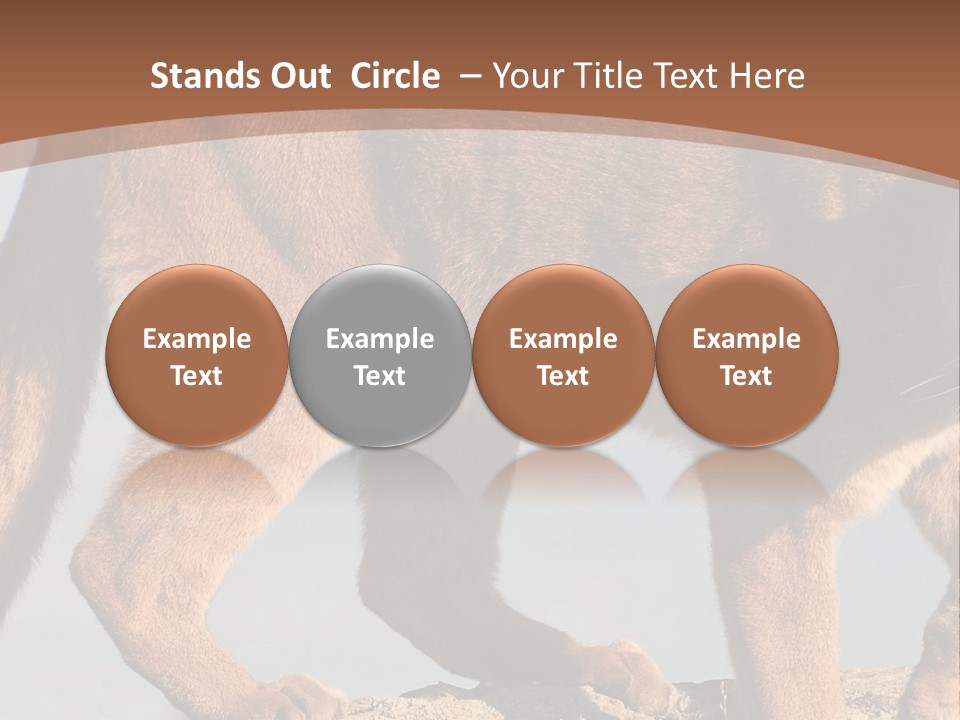 A Mountain Lion Walking Across A Desert Landscape PowerPoint Template