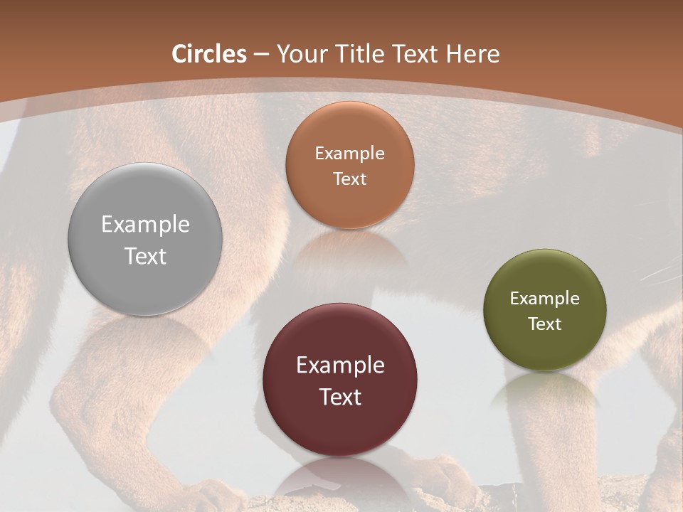 A Mountain Lion Walking Across A Desert Landscape PowerPoint Template