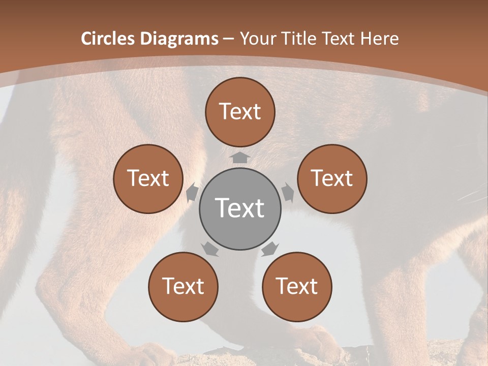 A Mountain Lion Walking Across A Desert Landscape PowerPoint Template