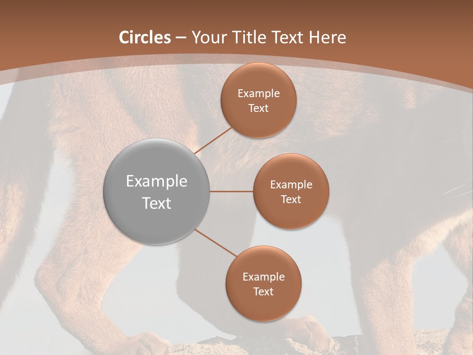 A Mountain Lion Walking Across A Desert Landscape PowerPoint Template