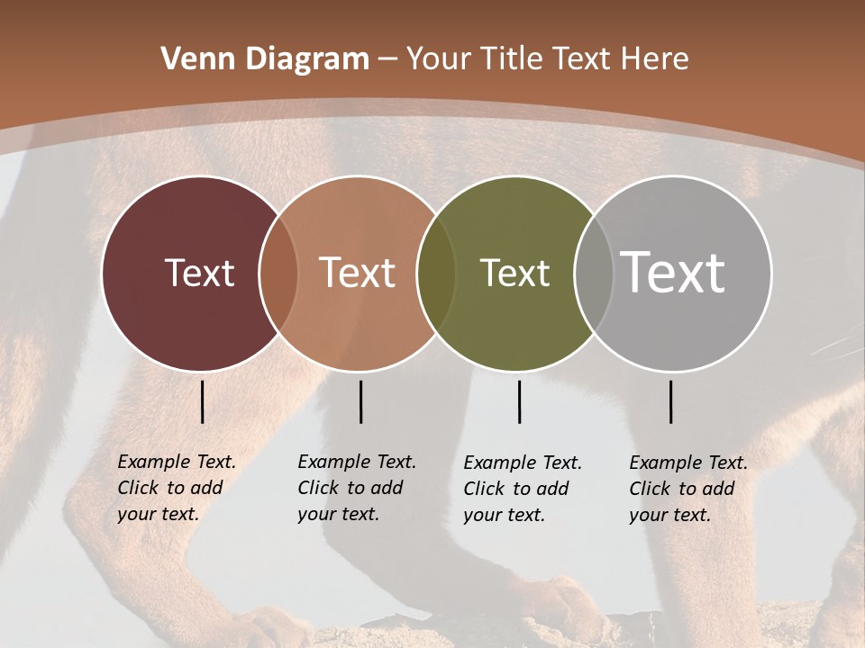 A Mountain Lion Walking Across A Desert Landscape PowerPoint Template