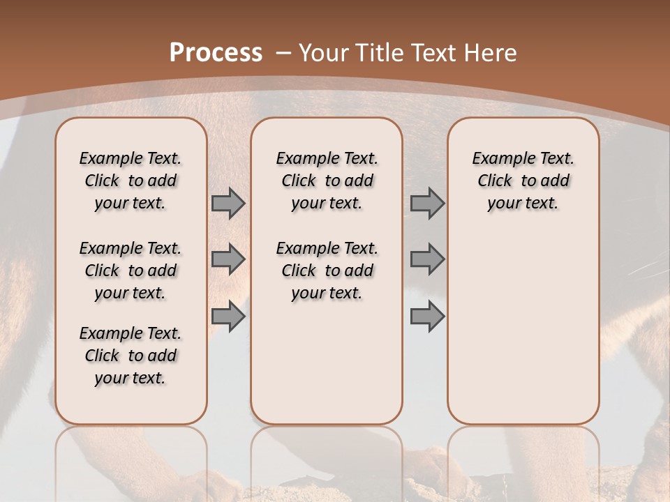 A Mountain Lion Walking Across A Desert Landscape PowerPoint Template