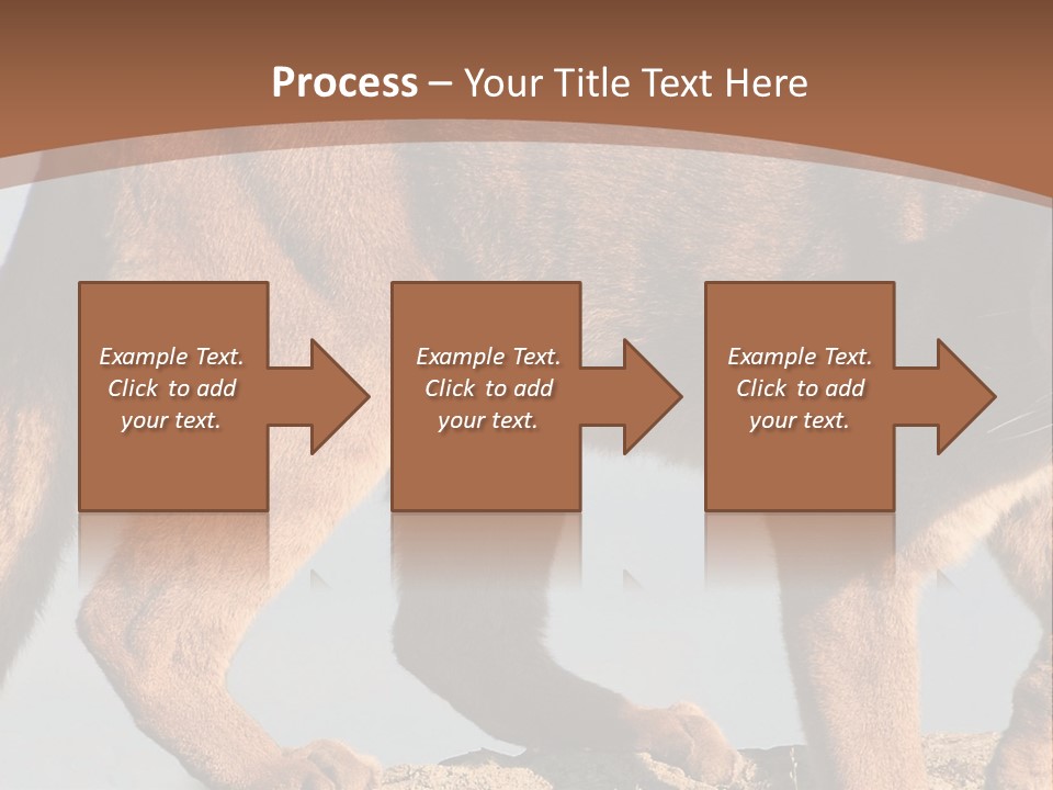 A Mountain Lion Walking Across A Desert Landscape PowerPoint Template