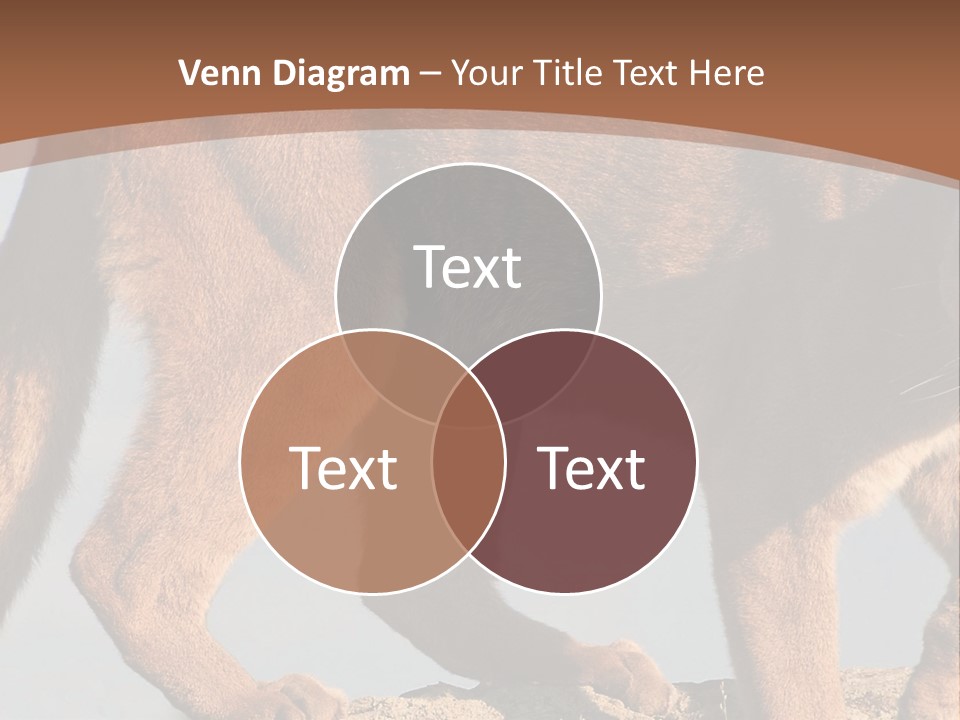 A Mountain Lion Walking Across A Desert Landscape PowerPoint Template