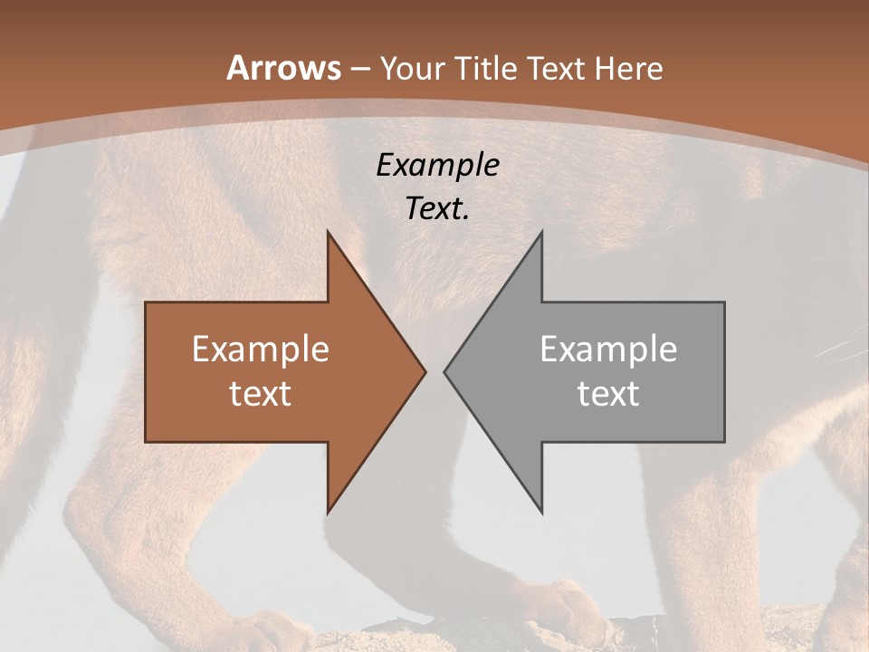 A Mountain Lion Walking Across A Desert Landscape PowerPoint Template