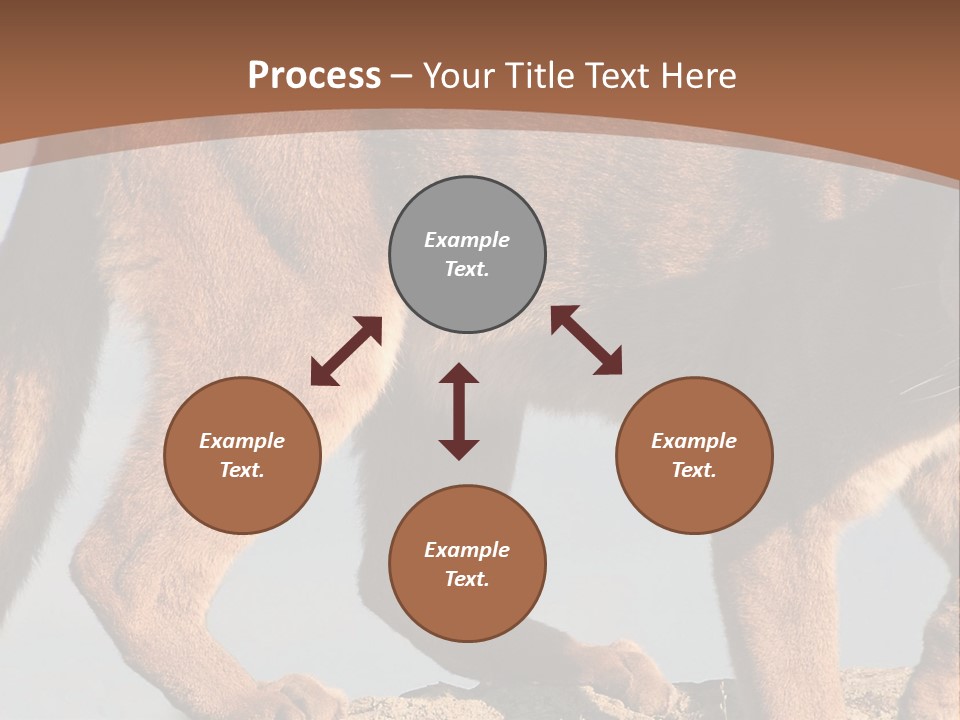 A Mountain Lion Walking Across A Desert Landscape PowerPoint Template