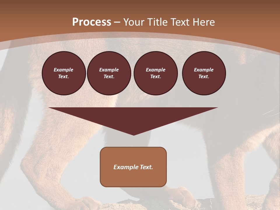 A Mountain Lion Walking Across A Desert Landscape PowerPoint Template