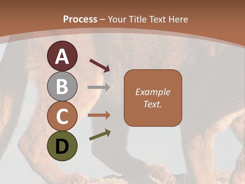 A Mountain Lion Walking Across A Desert Landscape PowerPoint Template