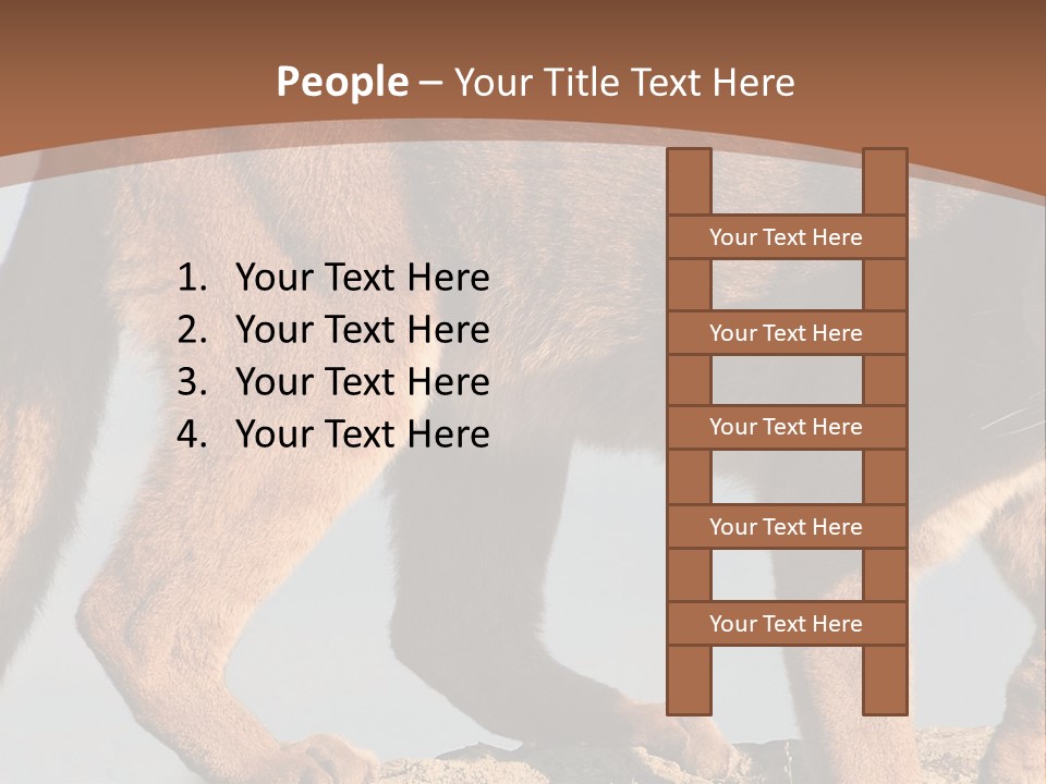 A Mountain Lion Walking Across A Desert Landscape PowerPoint Template