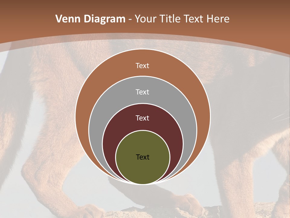 A Mountain Lion Walking Across A Desert Landscape PowerPoint Template