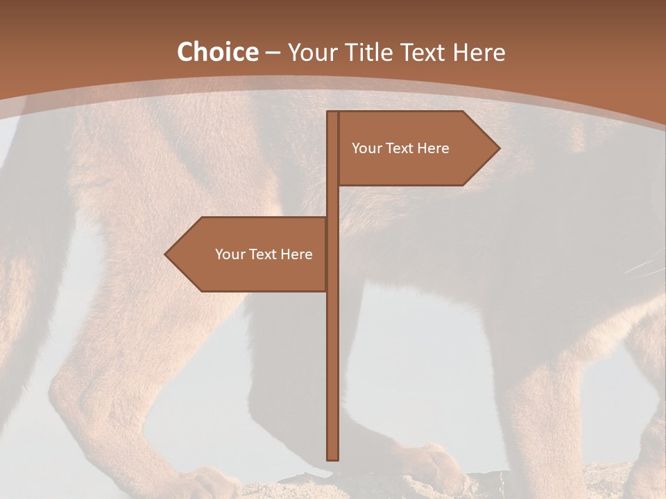 A Mountain Lion Walking Across A Desert Landscape PowerPoint Template