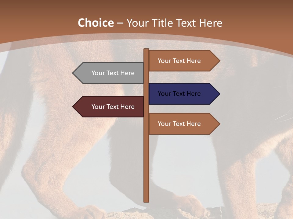 A Mountain Lion Walking Across A Desert Landscape PowerPoint Template