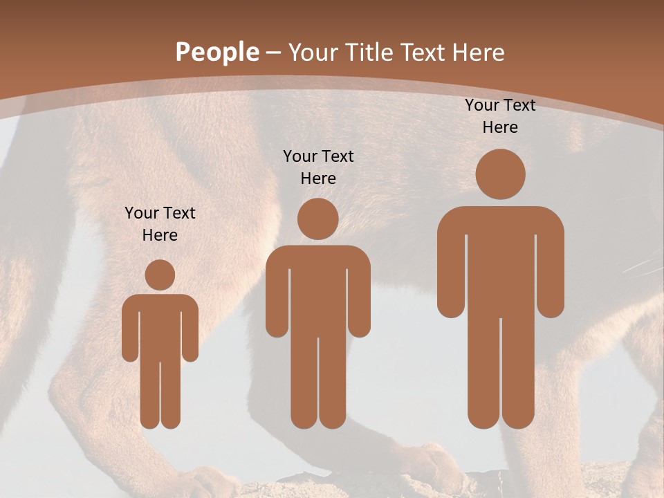 A Mountain Lion Walking Across A Desert Landscape PowerPoint Template