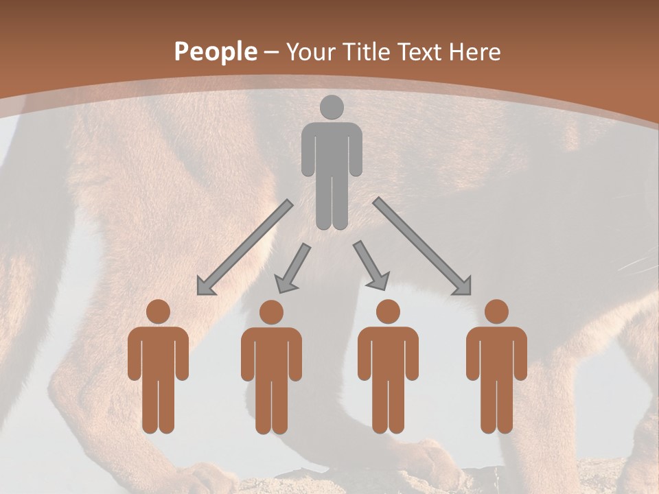 A Mountain Lion Walking Across A Desert Landscape PowerPoint Template