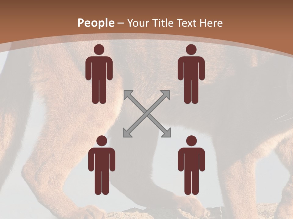 A Mountain Lion Walking Across A Desert Landscape PowerPoint Template