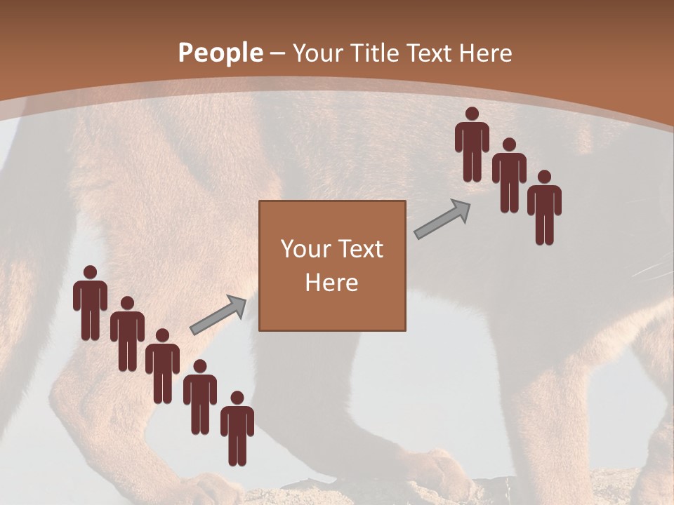 A Mountain Lion Walking Across A Desert Landscape PowerPoint Template