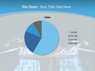 A Man Swimming In The Water Powerpoint Presentation PowerPoint Template