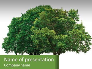 A Tree With A Green Sign In Front Of It PowerPoint Template