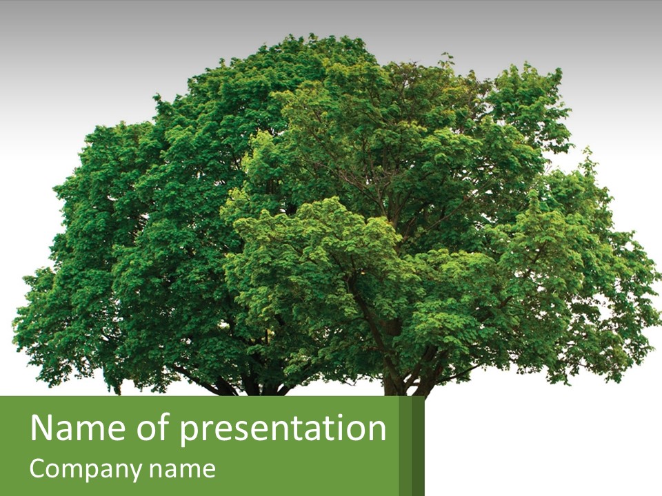 A Tree With A Green Sign In Front Of It PowerPoint Template