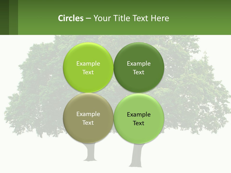 A Tree With A Green Sign In Front Of It PowerPoint Template