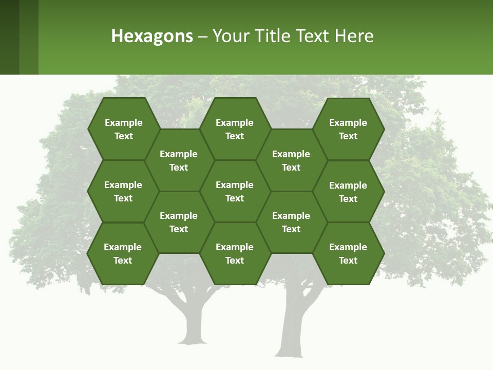 A Tree With A Green Sign In Front Of It PowerPoint Template