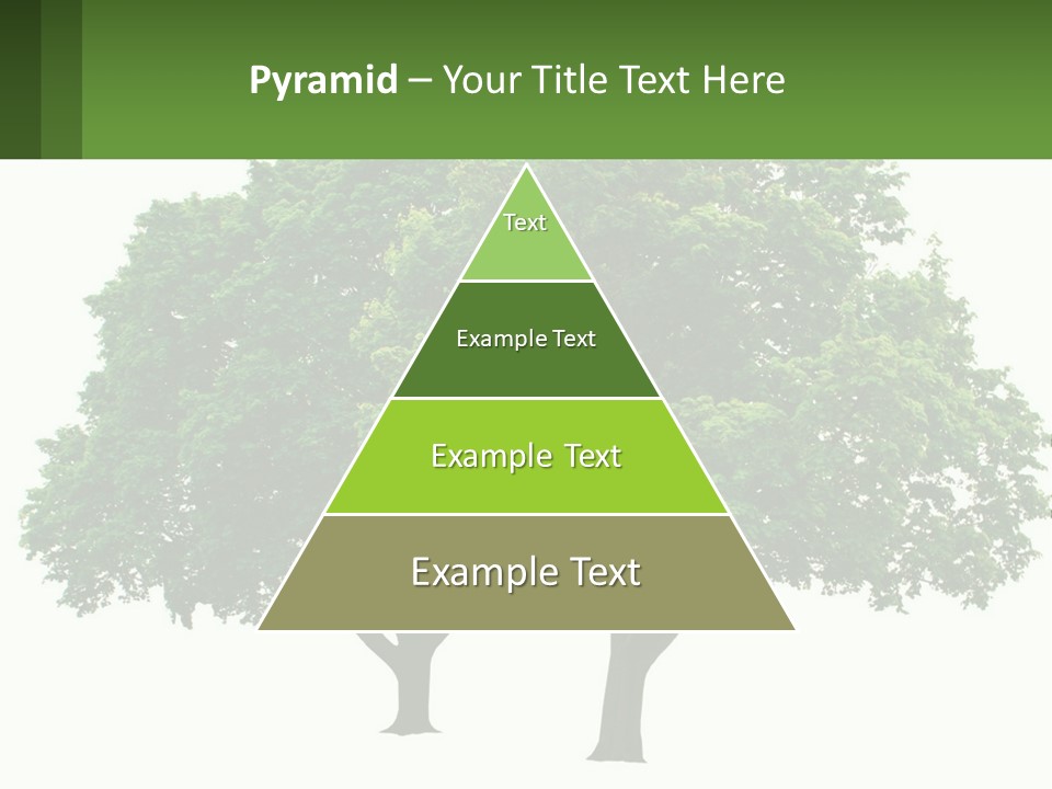 A Tree With A Green Sign In Front Of It PowerPoint Template