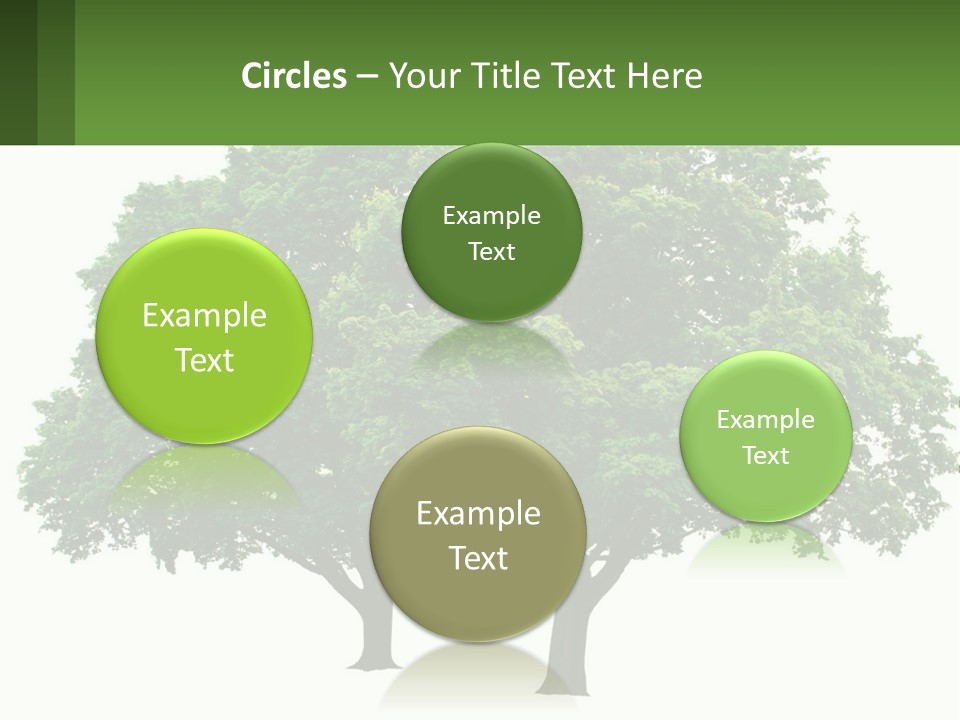 A Tree With A Green Sign In Front Of It PowerPoint Template