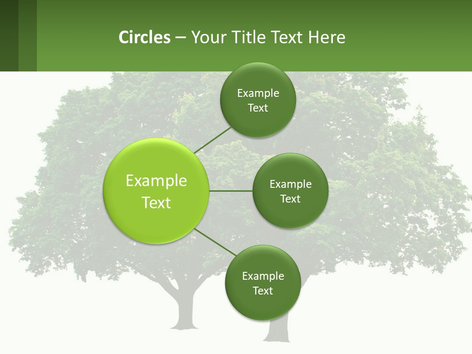 A Tree With A Green Sign In Front Of It PowerPoint Template