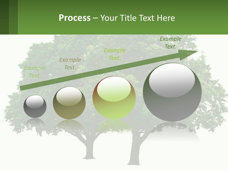 A Tree With A Green Sign In Front Of It PowerPoint Template