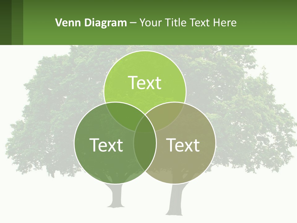 A Tree With A Green Sign In Front Of It PowerPoint Template