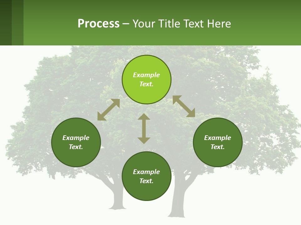 A Tree With A Green Sign In Front Of It PowerPoint Template