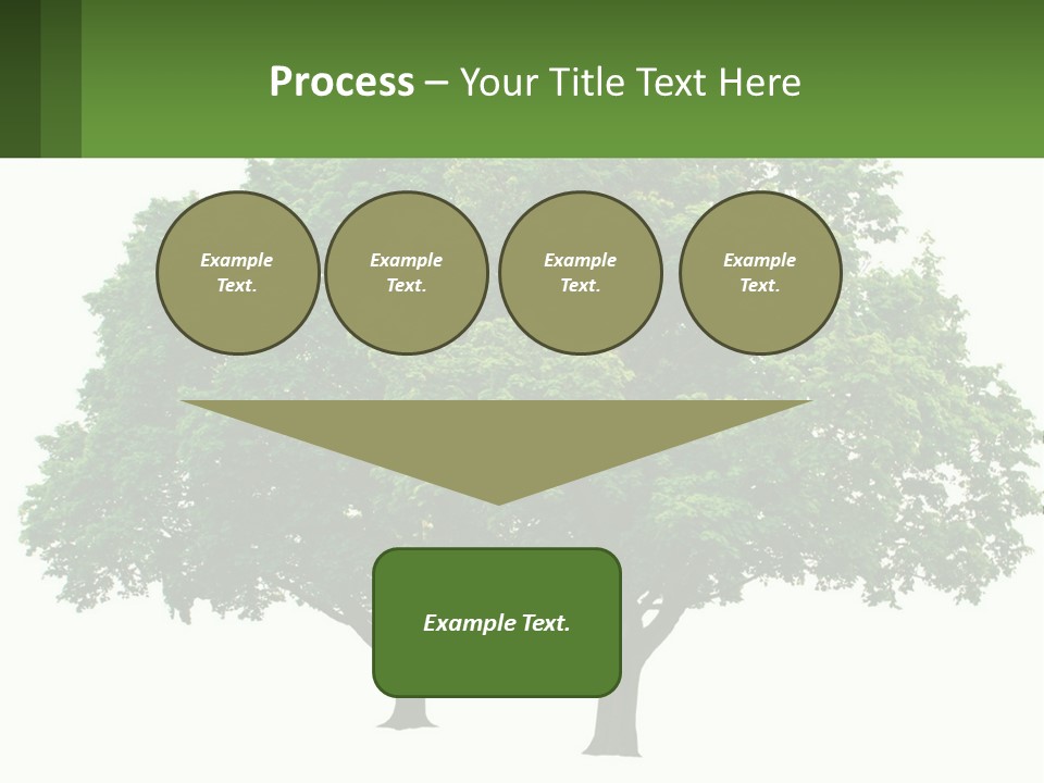 A Tree With A Green Sign In Front Of It PowerPoint Template