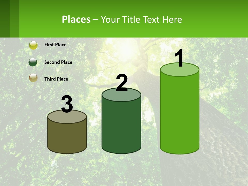 A Tree With The Sun Shining Through It PowerPoint Template