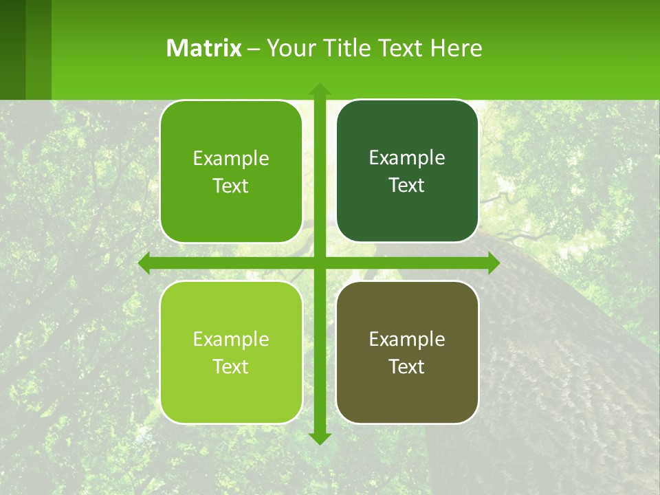 A Tree With The Sun Shining Through It PowerPoint Template