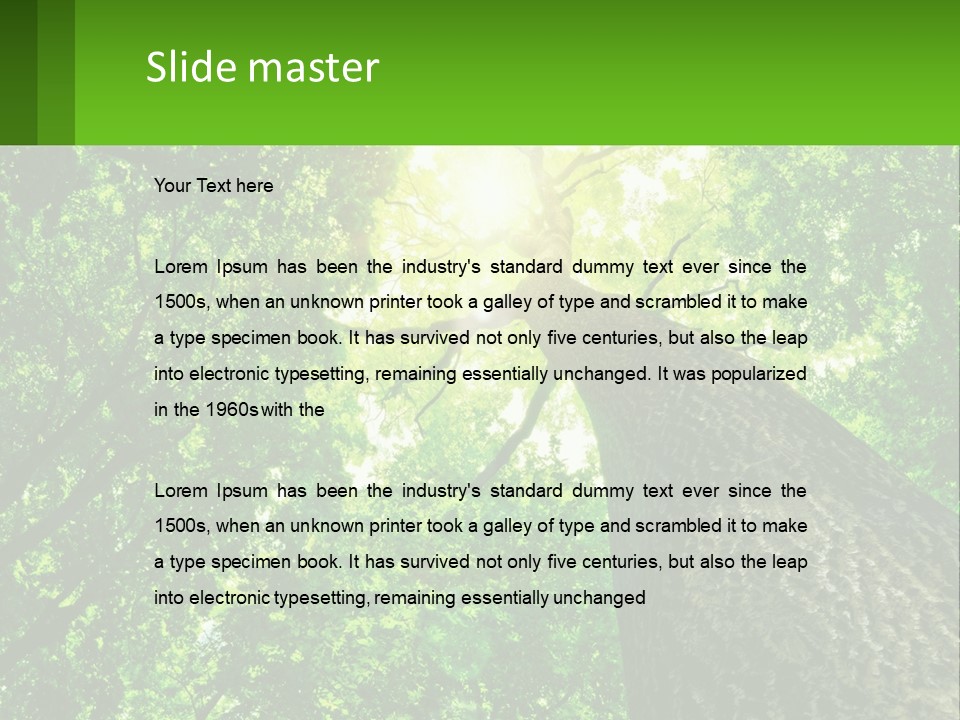 A Tree With The Sun Shining Through It PowerPoint Template