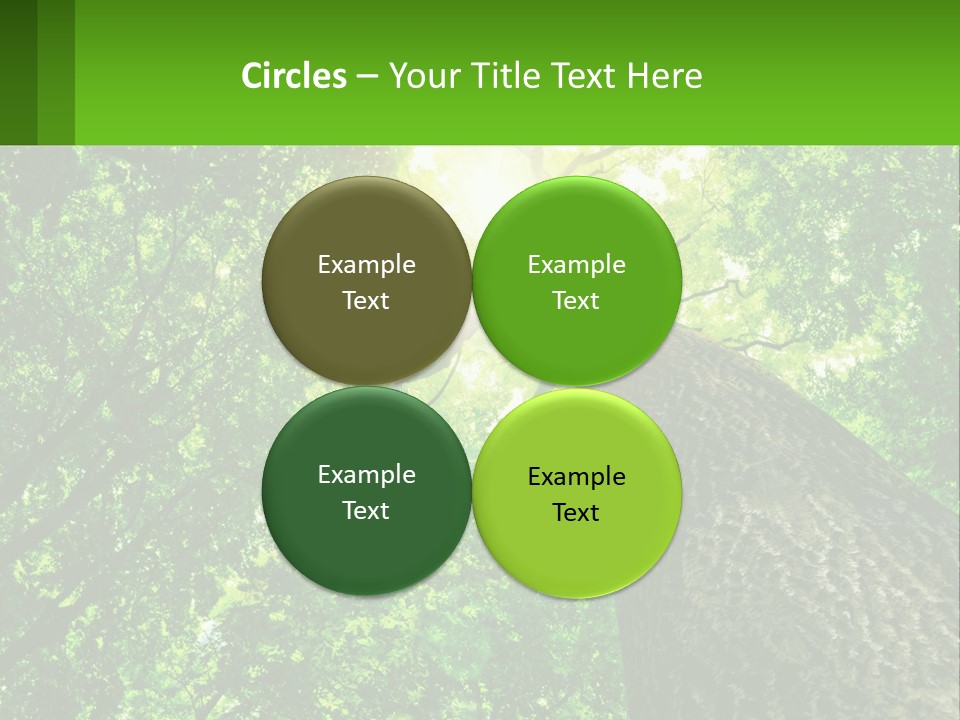 A Tree With The Sun Shining Through It PowerPoint Template