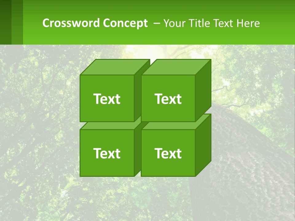 A Tree With The Sun Shining Through It PowerPoint Template
