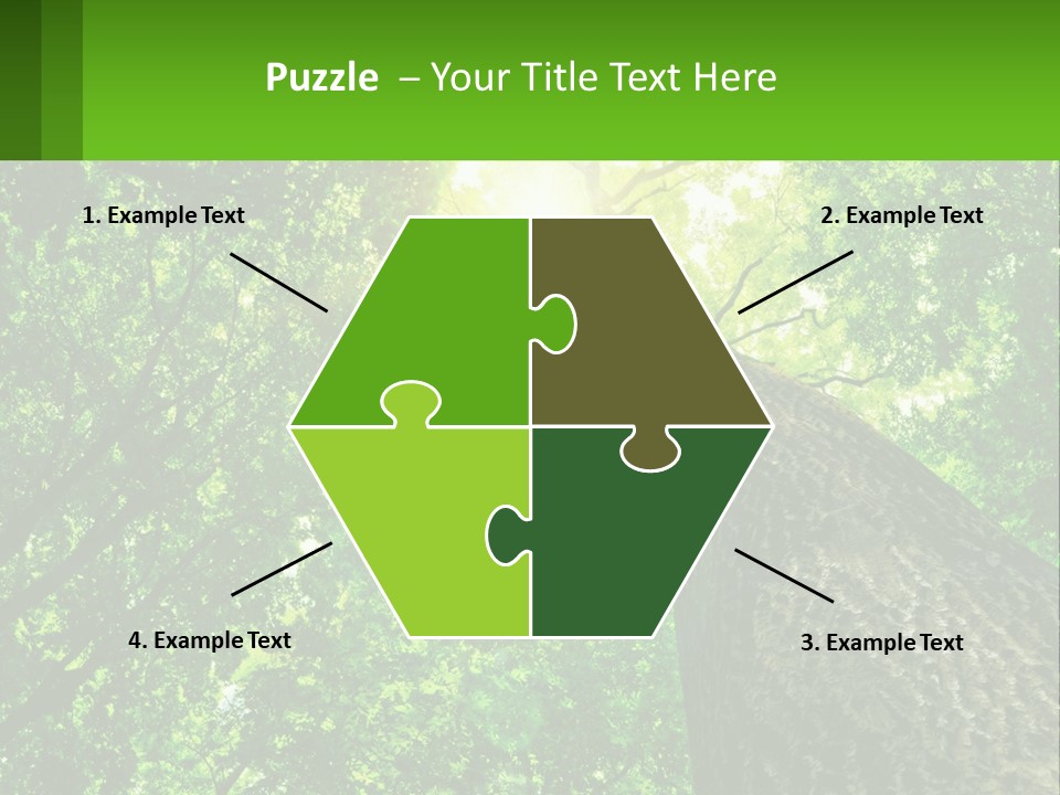 A Tree With The Sun Shining Through It PowerPoint Template
