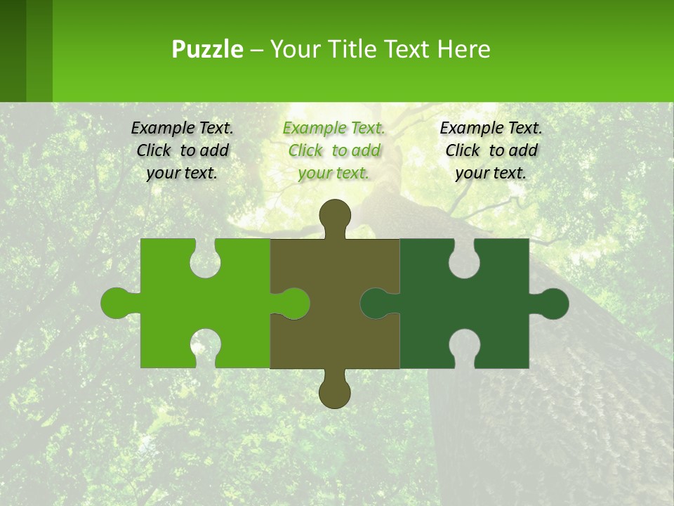 A Tree With The Sun Shining Through It PowerPoint Template