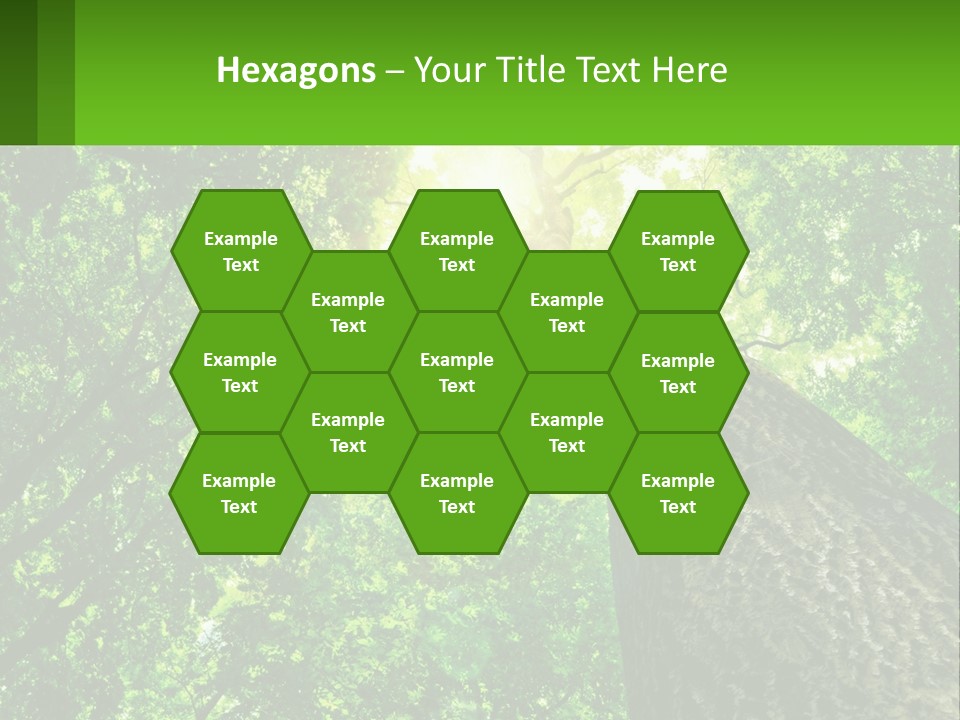 A Tree With The Sun Shining Through It PowerPoint Template