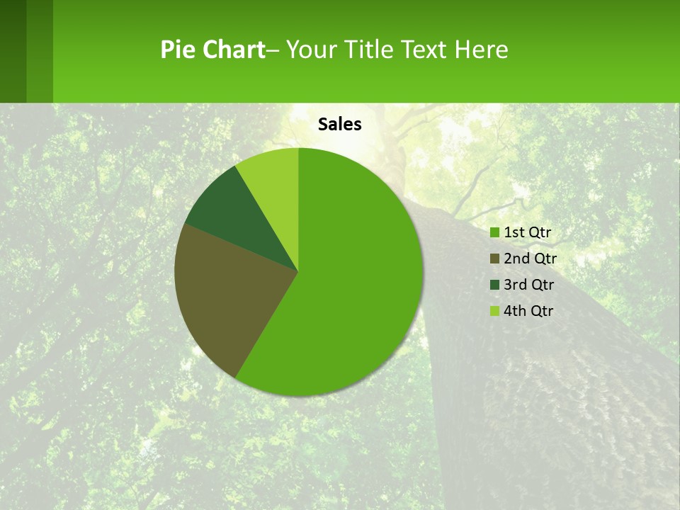 A Tree With The Sun Shining Through It PowerPoint Template