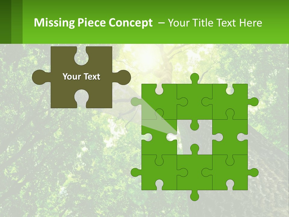 A Tree With The Sun Shining Through It PowerPoint Template