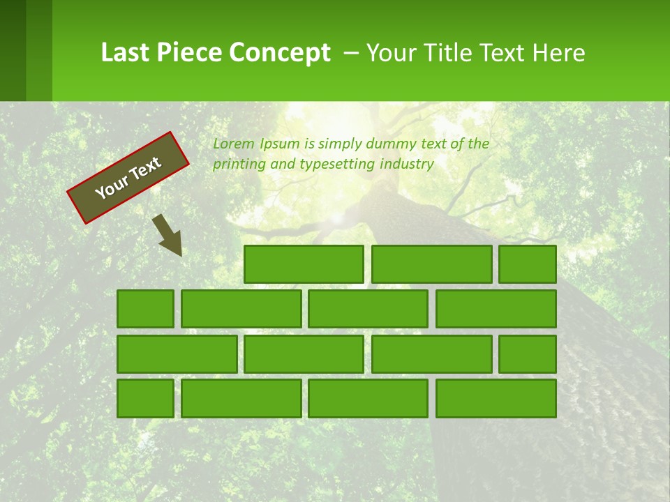 A Tree With The Sun Shining Through It PowerPoint Template